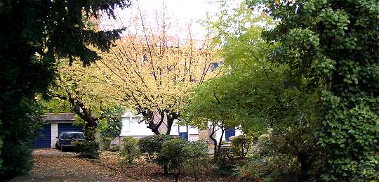 3 Crescent Wood Gardens Sydenham Hill - 17/10/04