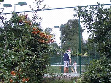 Tennis in Lawrie Park Road - 22/07/04